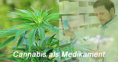 Cannabis als Medikament: Wirkung und Status Quo