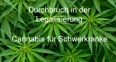 Cannabis für Schwerkranke legal