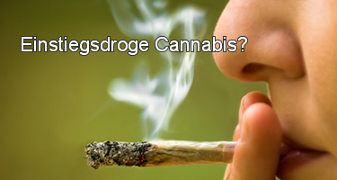 Einstiegsdroge Cannabis: Was ist dran an dem Argument?