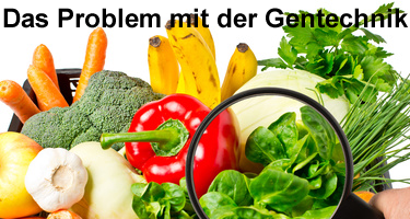 Das Problem mit der Gentechnik
