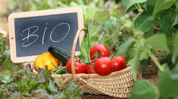 Bio Nahrung funktioniert doch