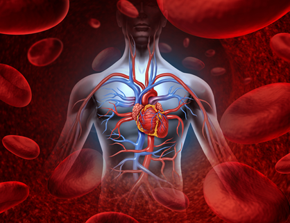 Kakao und die Gesundheit