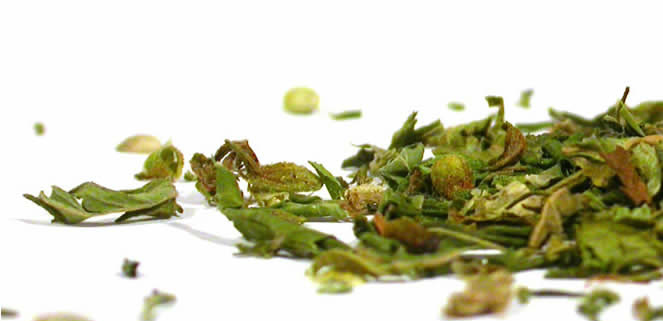 Lose Cannabis Blätter