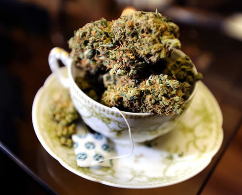 Cannabis Tee – jahrhundertealter, heilsamer Zaubertrank