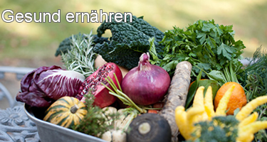 gesund vegan ernaehren