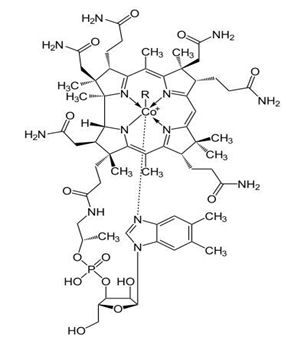 B12 ist nicht gleich B12