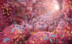 Veganer viel dafür tun, dass sich B12 produzierende Mikroorganismen im Körper so wohl wie möglich fühlen