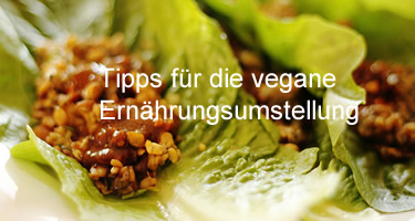 Tipps für die vegane Ernährungsumstellung