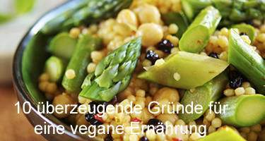 Vegan ernähren