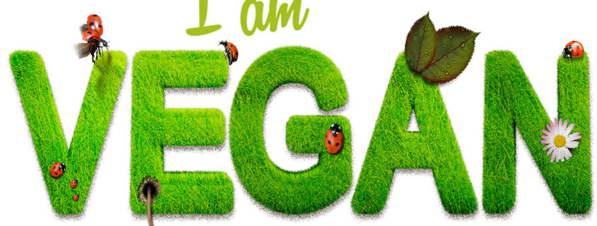 Tipps für die ersten veganen Monate