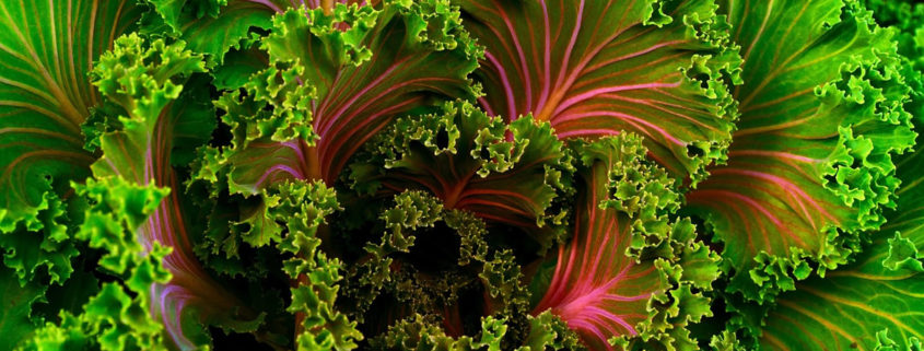 Ernährungsumstellung