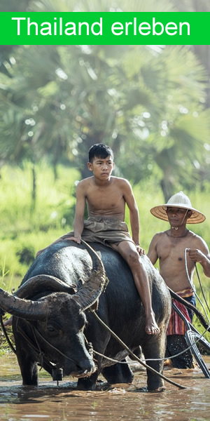 Thailand erleben