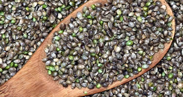 Warum Hanfsamen in der veganen Ernährung so empfehlenswert sind