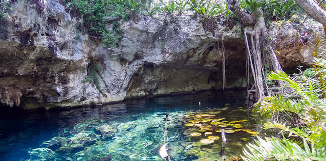 Gran Cenote