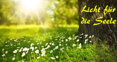 Lichttherapie bei Schlaflosigkeit