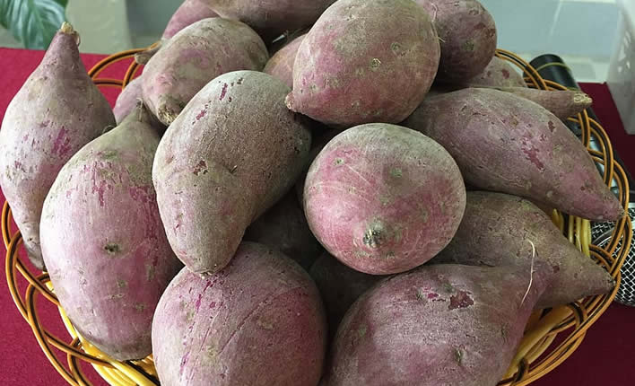 Camote - Süsskartoffel