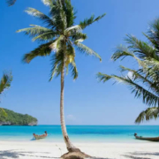 Gesund bleiben in Thailand