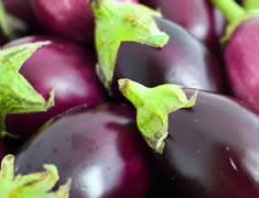Mini-Auberginen