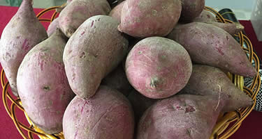 Camote – die Super Süßkartoffel aus Peru