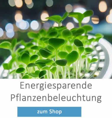 Licht für Zimmerpflanzen - Shop
