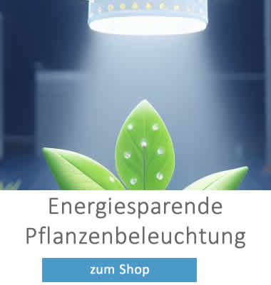 Planzenbeleuchtung kaufen
