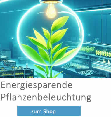 Energiesparende Pflanzenbeleuchtung kaufen