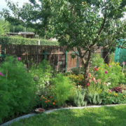 Förderung der Artenvielfalt im eigenen Garten: Ein praktischer Leitfaden