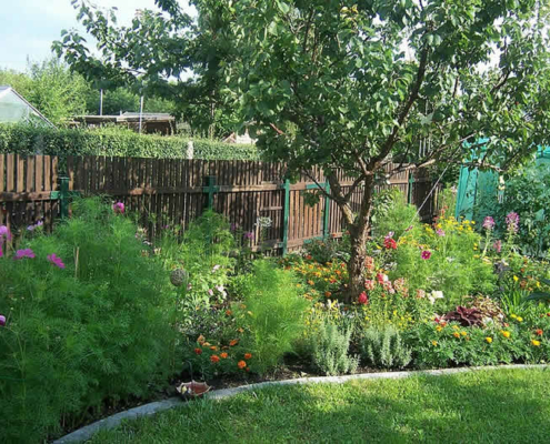 Förderung der Artenvielfalt im eigenen Garten: Ein praktischer Leitfaden