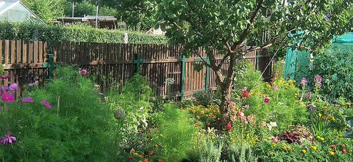 Förderung der Artenvielfalt im eigenen Garten: Ein praktischer Leitfaden