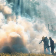 CO2-Ausstoß durch Waldbrände erreicht neuen Höchststand