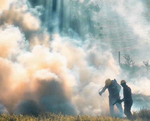 CO2-Ausstoß durch Waldbrände erreicht neuen Höchststand