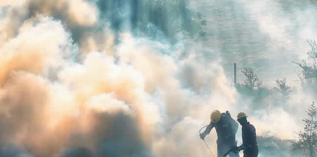 CO2-Ausstoß durch Waldbrände erreicht neuen Höchststand