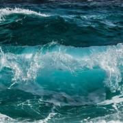 Der stille Alarm der Meere: Fische im Griff des Klimawandels