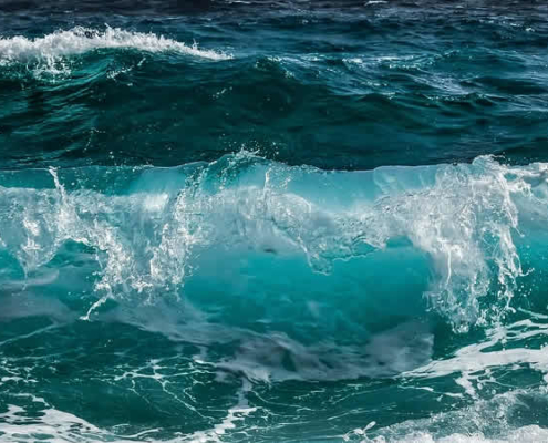 Der stille Alarm der Meere: Fische im Griff des Klimawandels