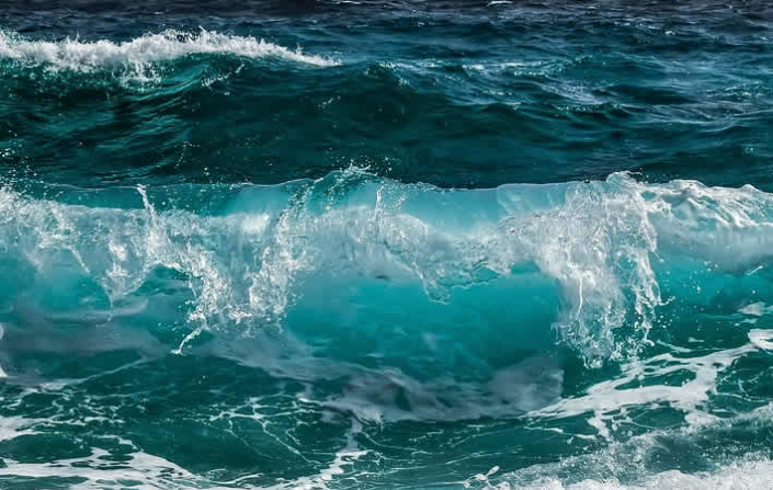 Der stille Alarm der Meere: Fische im Griff des Klimawandels