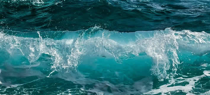 Der stille Alarm der Meere: Fische im Griff des Klimawandels