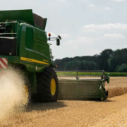 Bayer entwickelt Glyphosat-Alternative