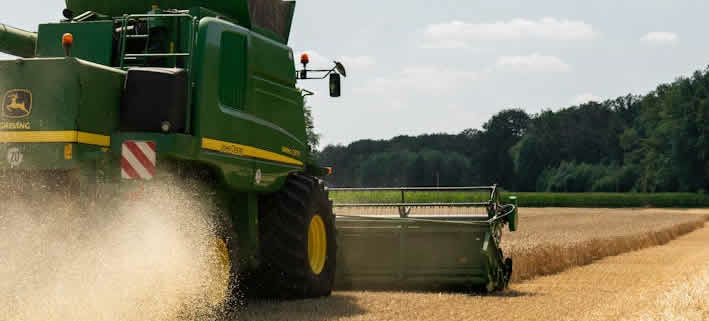 Bayer entwickelt Glyphosat-Alternative