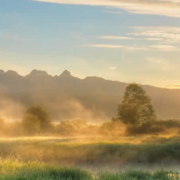 Europas Klimakrise: Der entscheidende Moment zum Handeln