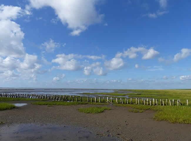 Nationalpark Wattenmeer Dänemark