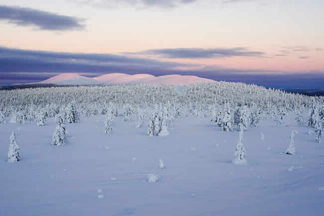 Pallas-Yllästunturi-Nationalpark
