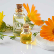 Die Vielseitigkeit der Ringelblume: Ein Naturheilmittel für jedermann