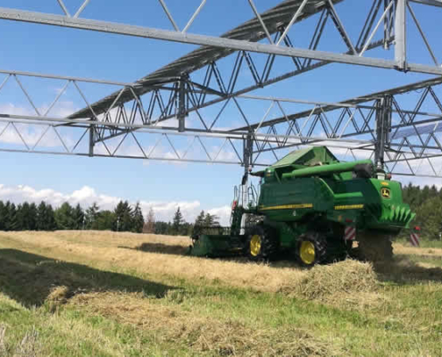 Der Wettstreit um Agrarland: Solarenergie kontra Landwirtschaft