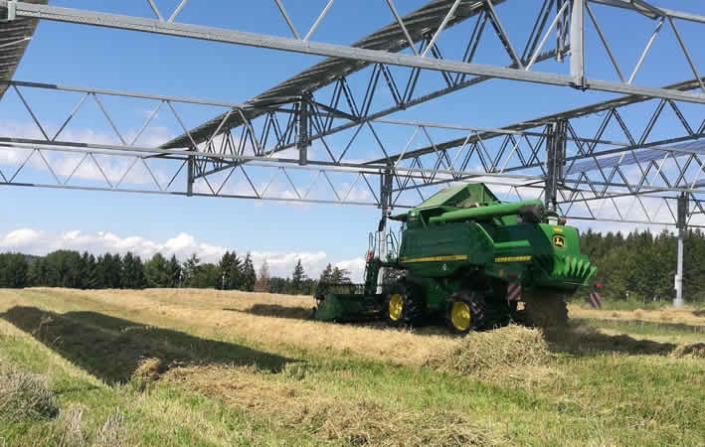 Der Wettstreit um Agrarland: Solarenergie kontra Landwirtschaft