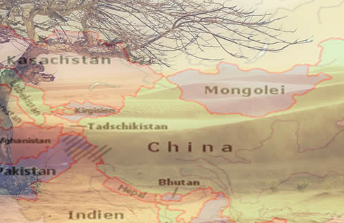 Klimakrisen in Asien 2023: Eine Analyse der Auswirkungen und Herausforderungen