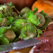 Nutella: Sechs Jahrzehnte süßer Erfolg