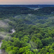 Der Amazonas: Ein globales Ökosystem von unschätzbarem Wert