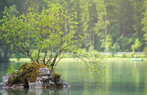 Sauerstoffverlust in Gewässern: Eine globale Bedrohung