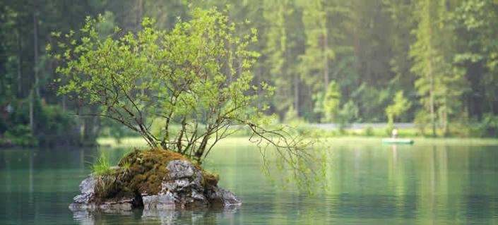 Sauerstoffverlust in Gewässern: Eine globale Bedrohung