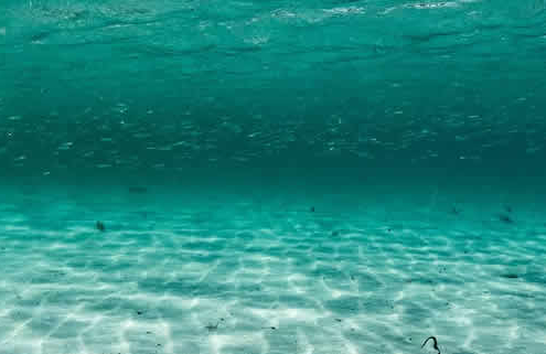 Überraschende Entdeckung: Tiefseeknollen als Sauerstoffquelle